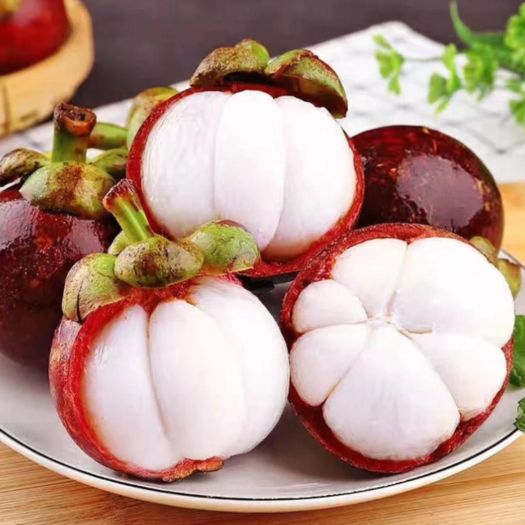 mangosteen seeds