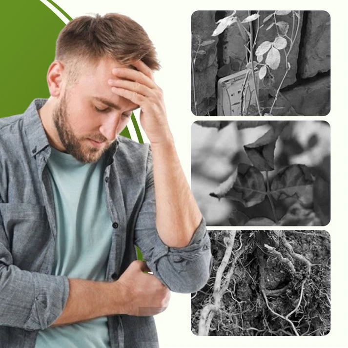 🔥hot sale 50% off🔥soluble disease control fertilizer🔥 buy 1 get 1 free! 🔥