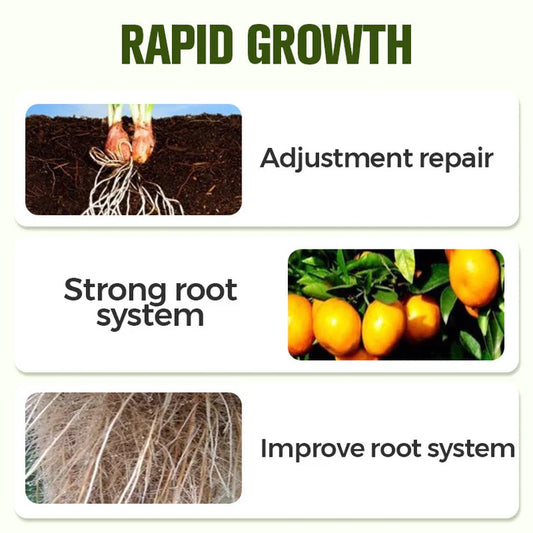 🔥Hot Sale 50% Off🔥Soluble Disease Control Fertilizer🔥 BUY 1 GET 1 FREE! 🔥