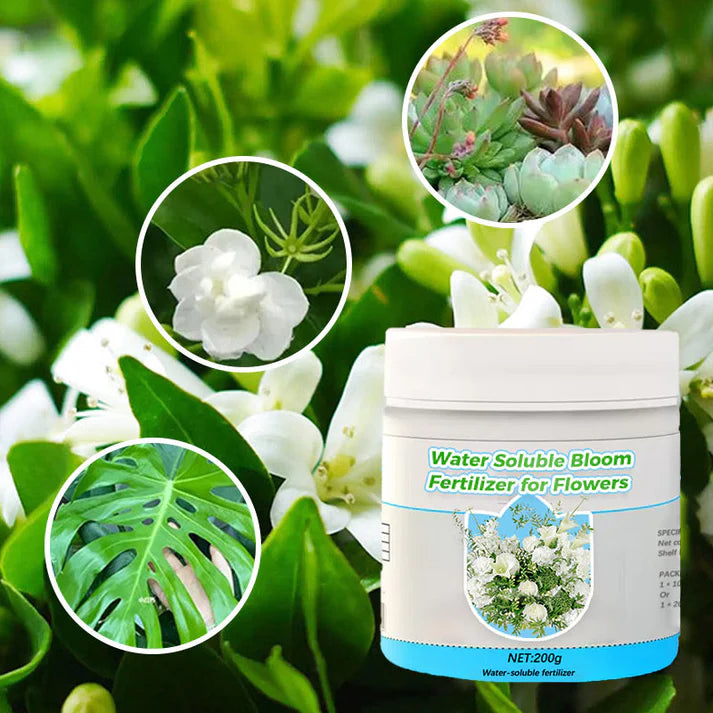🔥water soluble bloom fertilizer for flowers 🔥 buy 1 get 1 free! 🔥