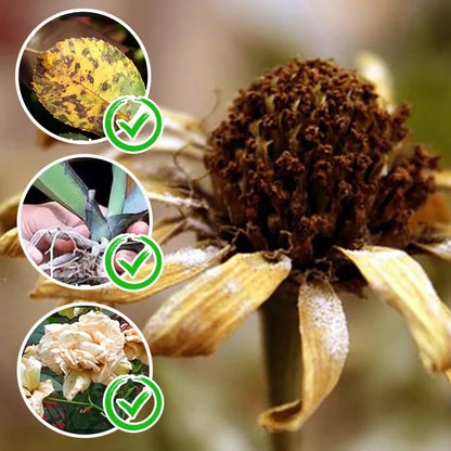 🔥Water Soluble Bloom Fertilizer for Flowers 🔥 BUY 1 GET 1 FREE! 🔥